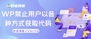 Wordpress禁止用户以各种方式获取代码-织音博客