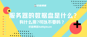 服务器的数据盘是什么?有什么用?可以不要吗？轻量服务器是什么？-织音博客